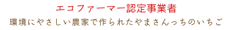 エコファーマー認定事業者。環境にやさしい農家で作られたやまさんっちのいちご